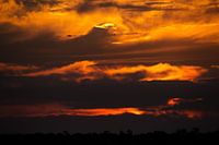African Brushstroke