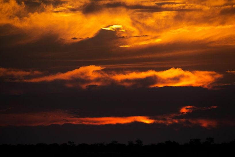 African Brushstroke von Fabrizio Gallo