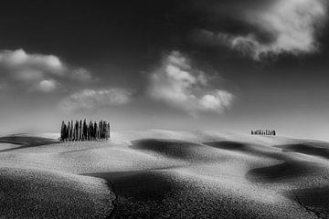 Paysage typique de la Toscane avec des collines et des champs sur Manfred Voss, Schwarz-weiss Fotografie