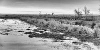 Landschap met molen