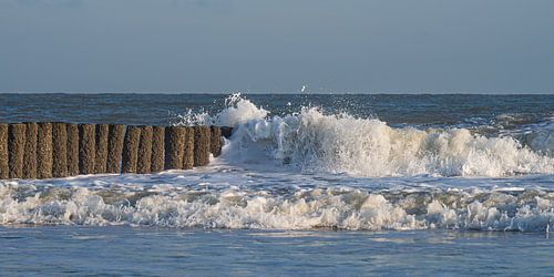 A panorama of natural tranquillity by the dynamic sea on the sunny coast by Marjolijn van den Berg
