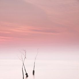 Sunrise Texel sur Irma Grotenhuis