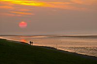 Beach walk with sunset