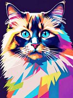 Ragdoll Cat Pop Art