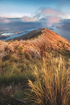 Nouvelle-Zélande Roy's Peak Lever de soleil sur Jean Claude Castor