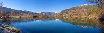 Reflection at St Martin's fishpond by Christa Kramer