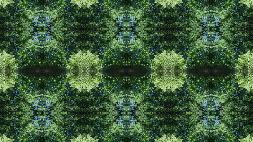 Gespiegelde varenbladeren, water en symmetrie 1 van Adriana Müller