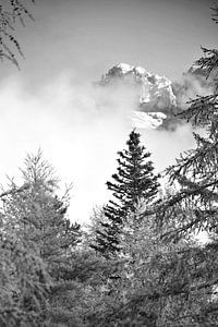 Dévoluy, La Joue du Loup, French Alps, monochrome