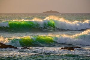 Vagues dans la lumière du soir