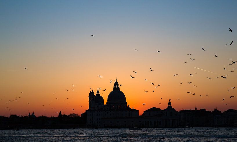 Venice by Hello Pompoyo