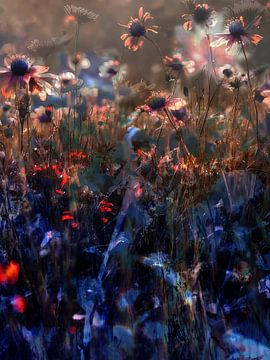 The Fields LI van Zand