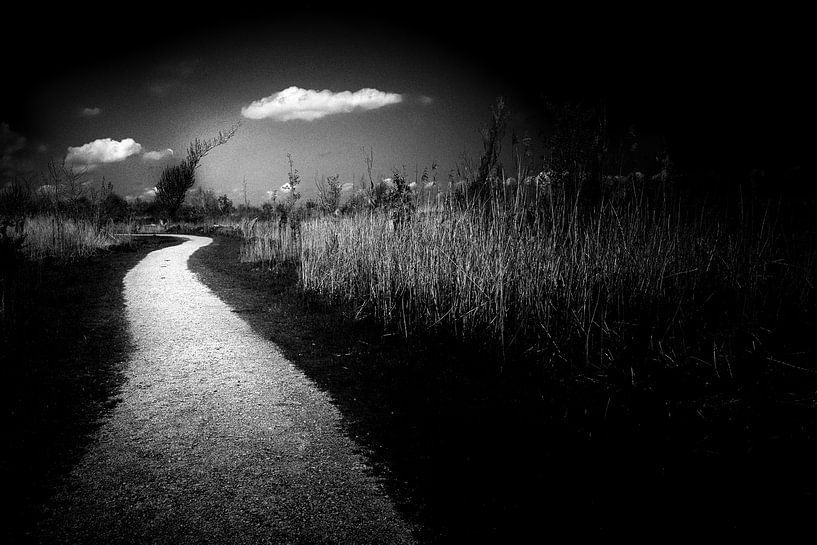 Directions par Remco Monteiro