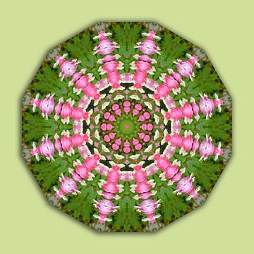 Cœur déchiré, fleurs mandala, nature