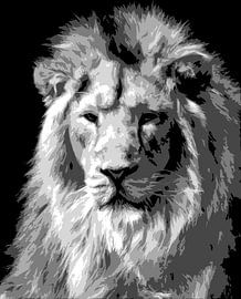 Lion in black and white by Emajeur Fotografie