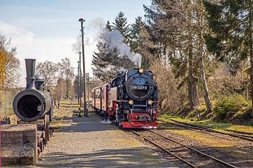 Die Selketalbahn bei der Einfahrt in den Bahnhof Hasselfelde von t.ART