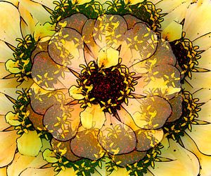 Fleur d'illusion