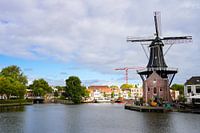 Moulin d'Adriaan