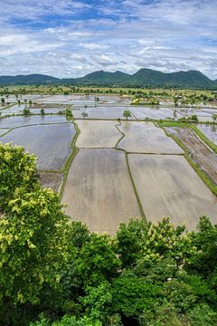 Khao Noi en de rijstvelden in Thailand van Joran Quinten