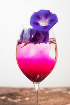 Purperen bloem in glas van André Scherpenberg