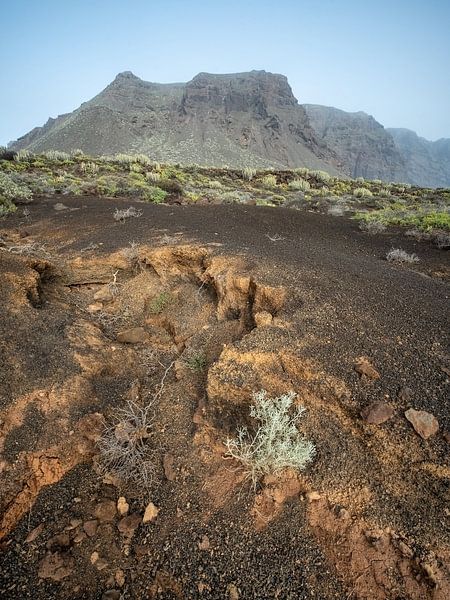 Naturpark Teno in Buenavista del Norte auf Teneriffa von Karin de Jonge