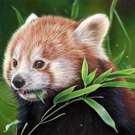 Roter Panda von Leontine van Vliet