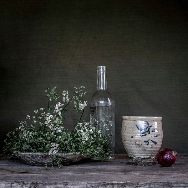 Olive green still life with cow parsley [square]. by Affect Fotografie