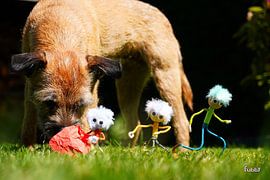 Fubbys Stier-Szene, in der er mit einem Hund spielt.
