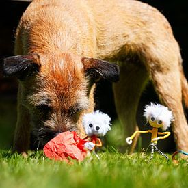 Fubby's bull scene playing with a dog. by Sailographic Paula