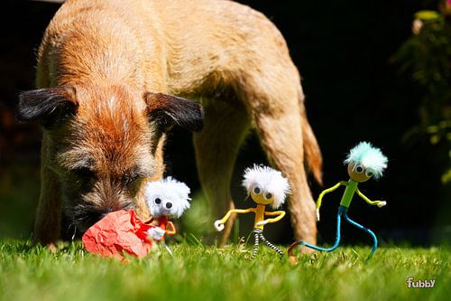 La scène de Fubby jouant avec un chien.