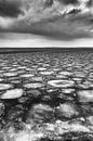 Iceplates on the Markermeer von Freek Rooze Miniaturansicht