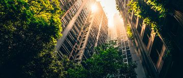 Door licht overspoelde stadsjungle van Poster Art Shop