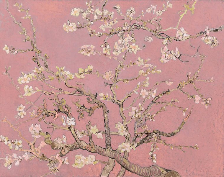 Mandelblüte (pink), Collage nach Vincent van Gogh  von Masters Revisited