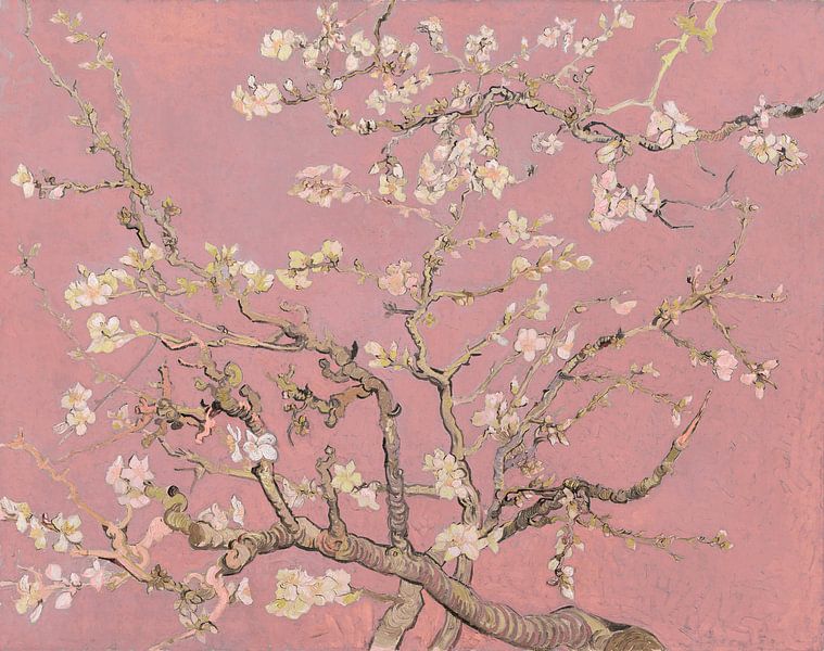 Amandelbloesem Van Vincent Van Gogh (roze) Van Masters Revisited Op ...