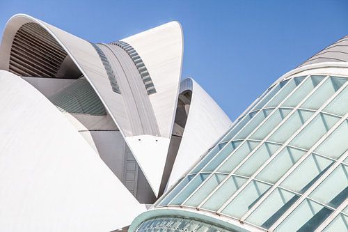 wetenschapsmuseum in Valencia