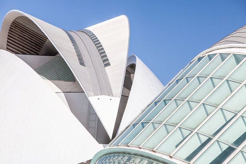 Musée des sciences à Valence par Eric van Nieuwland