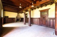 Chambre dans le palais abandonné. par Roman Robroek - Photos de bâtiments abandonnés Aperçu