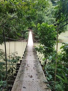 Hangbrug
