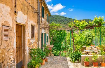 Rustic mediterranean houses with beautiful front yard and potted plants by Alex Winter