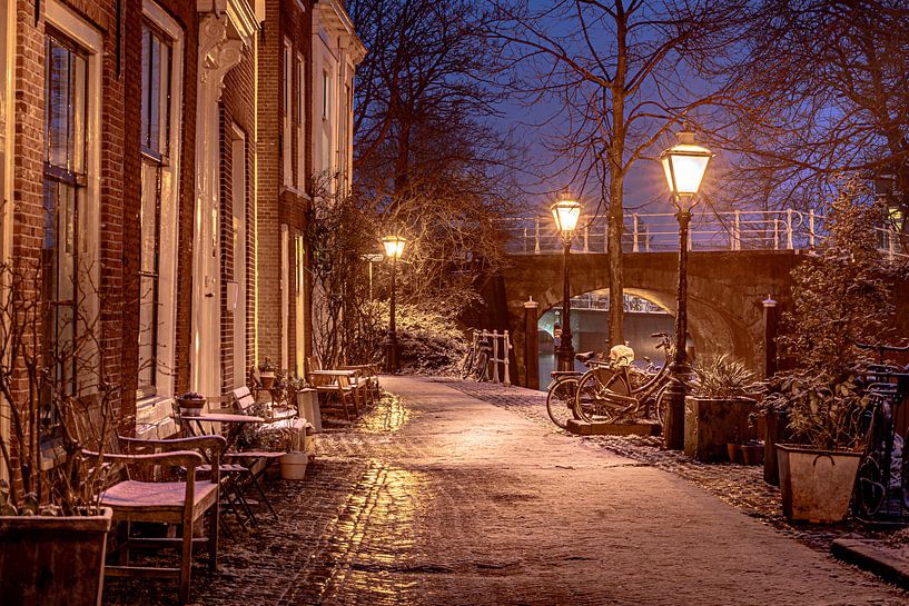Leiden in Lockdown by Carla Matthee