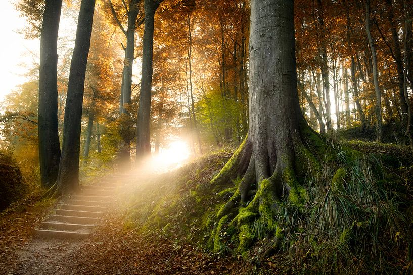 Die Treppe zum Himmel von Arjen Roos