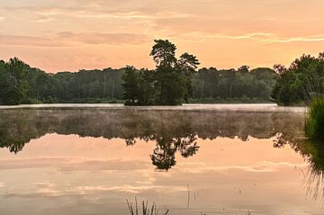 Oisterwijkse Bossen en Vennen