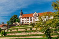 Kasteel Wilhelmsburg in herfstig licht van Oliver Hlavaty thumbnail