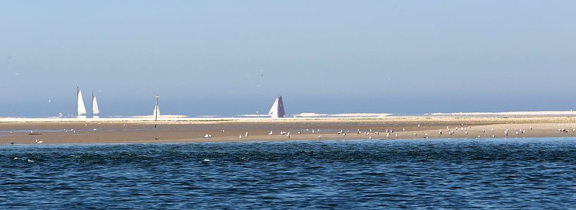Vlieland  van Sybrand Treffers