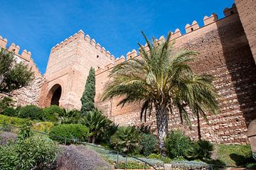 Alcazaba van Almeria, Spanje van Jan van der Veen