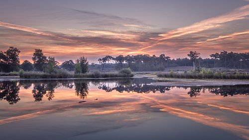 Sunrise with reflection in fen in the Netherlands