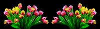 Tulpenbloesem panorama
