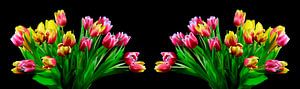 Tulpenblütenpanorama