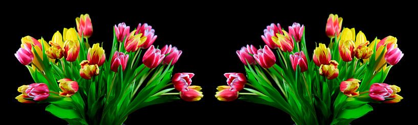 Tulpenbloesem panorama van Thomas Jäger