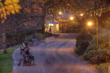 Bremer wallen in de herfst van Torsten Krüger