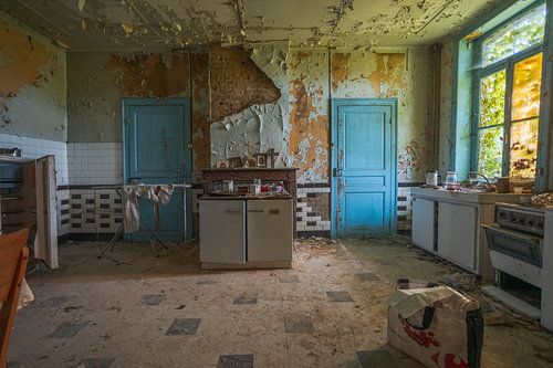 Old kitchen where everything is taken over.